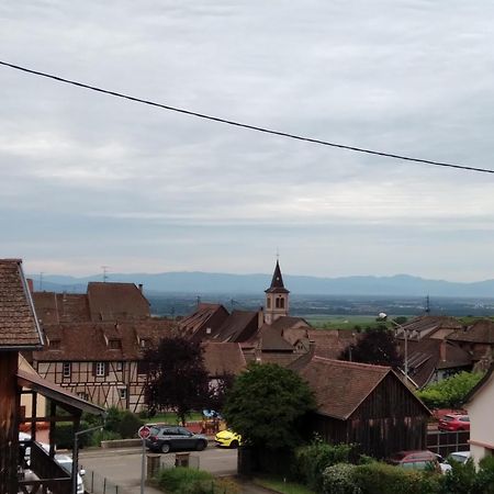 Le Repos Du Facteur Apartment Riquewihr Luaran gambar